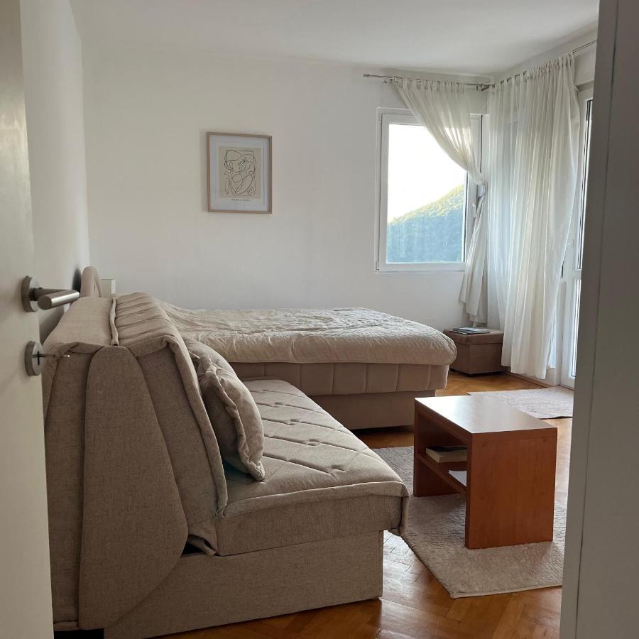 Cozy Apartment With The View Pluzine Exterior photo